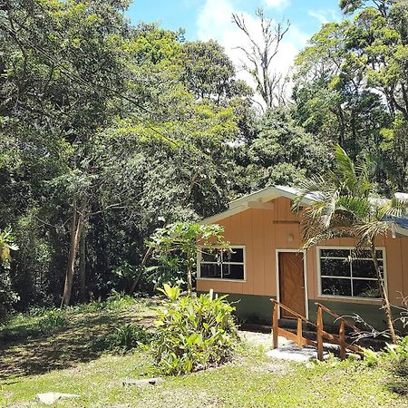 Forest Garden House Monteverde Exterior photo