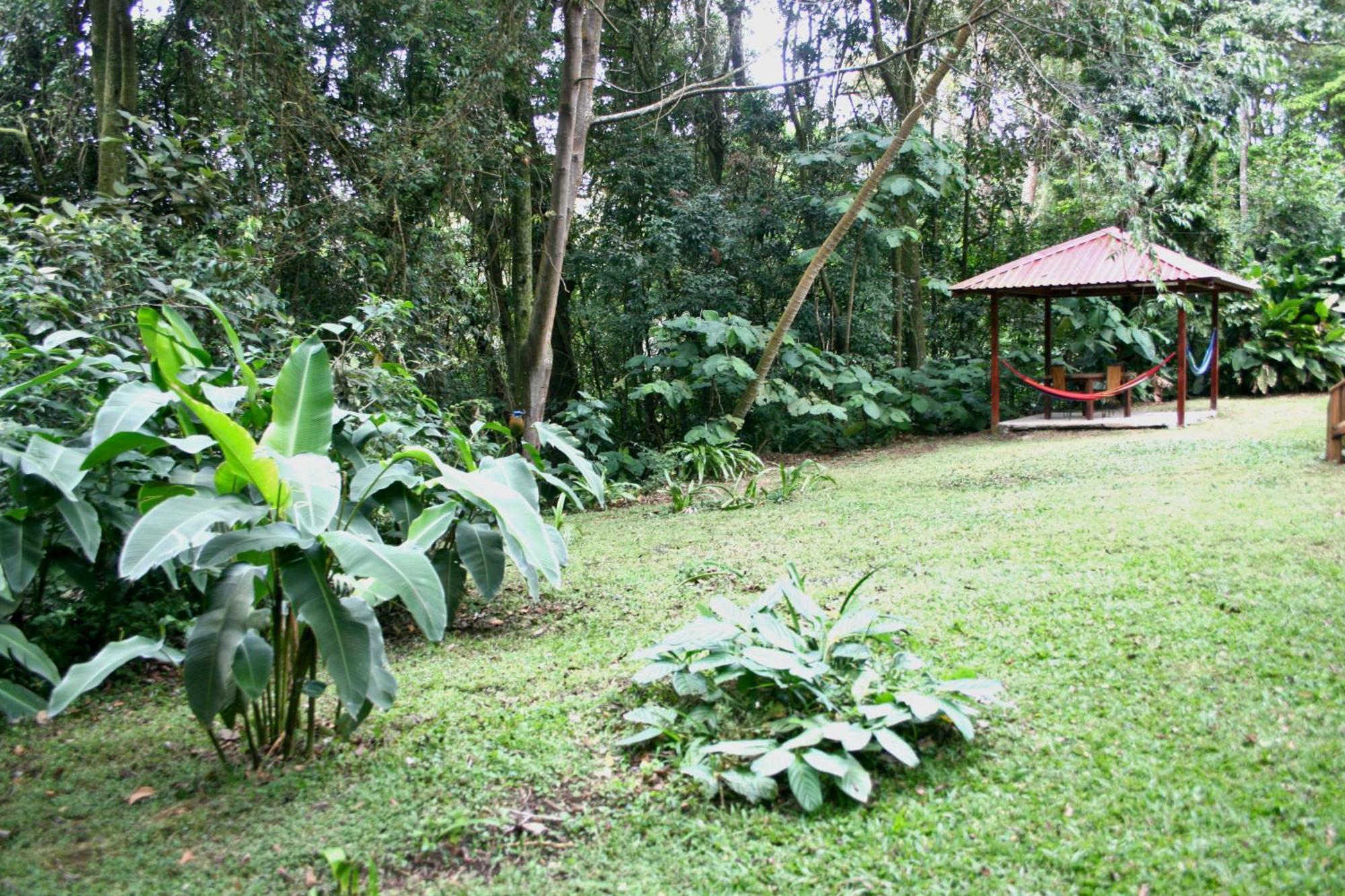 Forest Garden House Monteverde Exterior photo