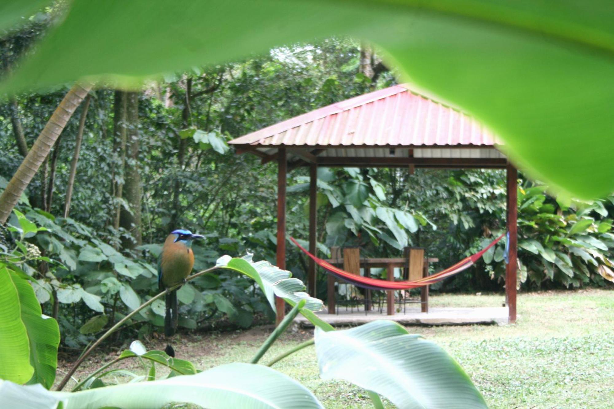 Forest Garden House Monteverde Exterior photo